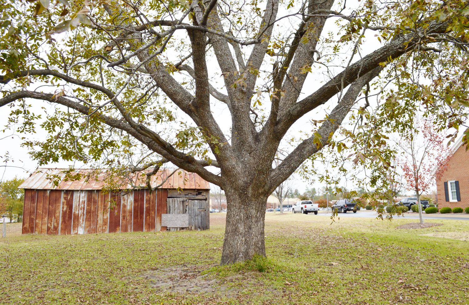 103 W Church St, Batesburg, SC 29006